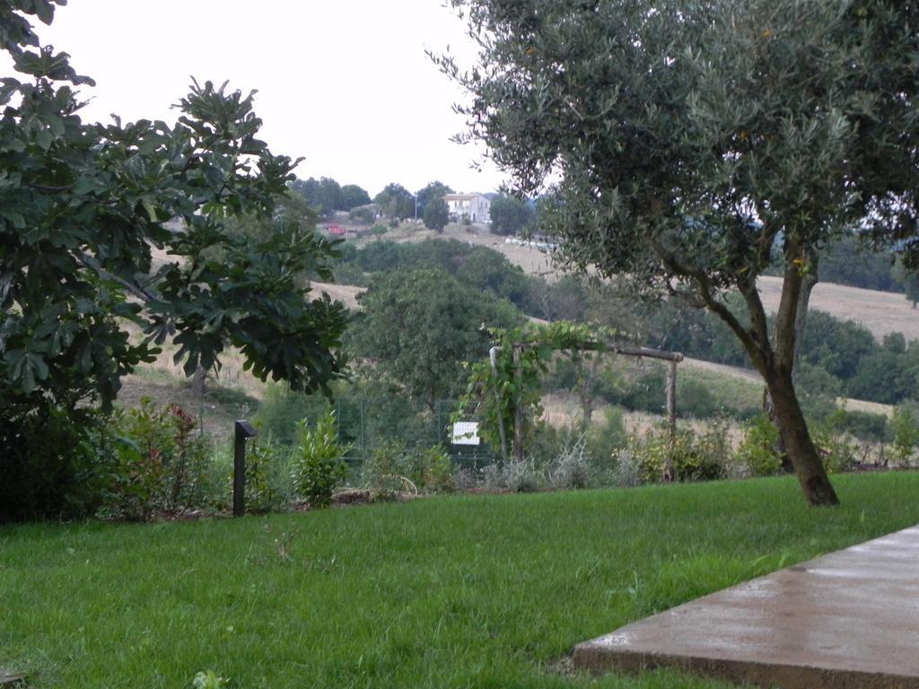 Agriturismo Sugheretello Semproniano Екстер'єр фото