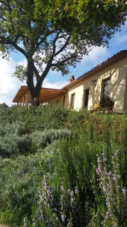 Agriturismo Sugheretello Semproniano Екстер'єр фото